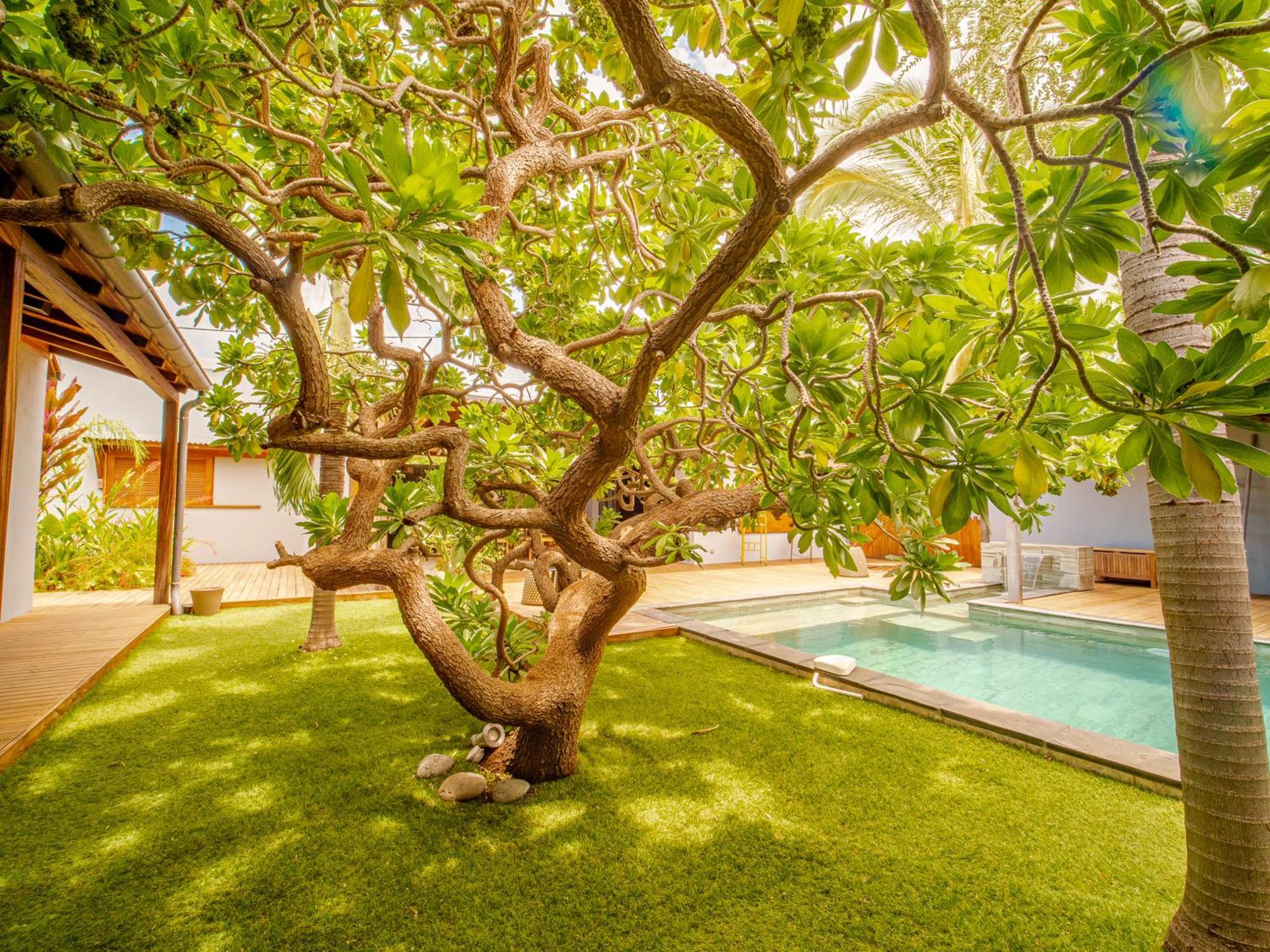 La Kaz Veloutier - Villa 4 Chambres Avec Piscine Ла-Салин-ле-Бен Экстерьер фото
